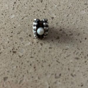 Pandora Charms